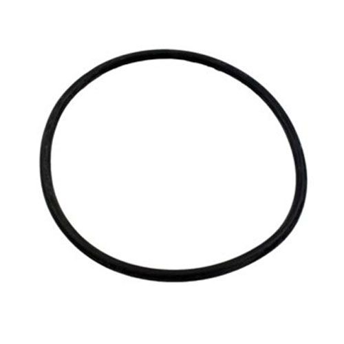 O-Ring for AquaPro PurFlo Strainer Lid Questions & Answers