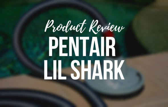 Pentair Lil Shark Pool Cleaner – Product Review
