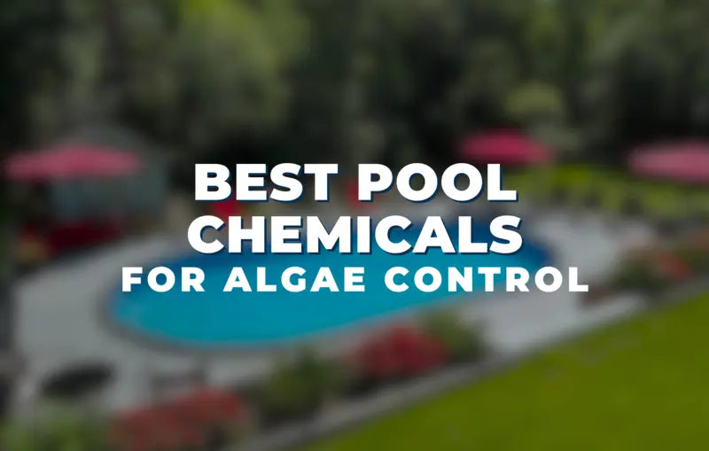 Best Pool Chemicals for Algae Control