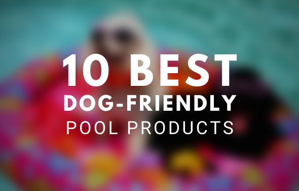 The 10 Best Dog-Friendly Pool Products