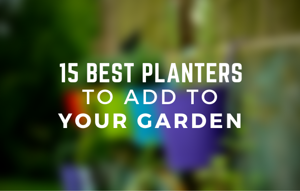 15 Best Planters To Add To Your Backyard