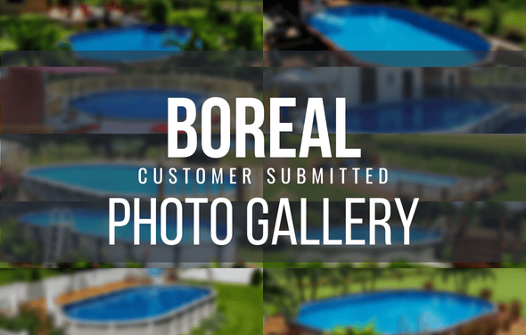 Boreal Pool Gallery