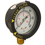 Pentair Bottom Mount Pressure Gauge 190058