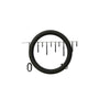 Pentair Clean & Clear Drain Plug O-Ring