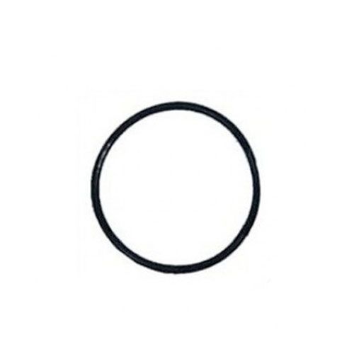 Pentair Clean & Clear Union Nut O-Ring 071426