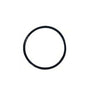 Pentair Clean & Clear Union Nut O-Ring 071426