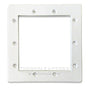 Standard Skimmer Face Plate
